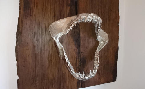 Wandbild "Haigebiss"