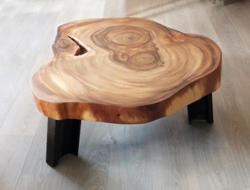 Baumscheiben- Couchtisch